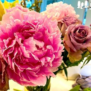 Meet your Posher, Isa